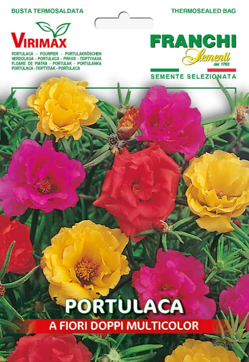 Seme za cveće Prkos dupli 10 kesica Franchi Sementi Virimax