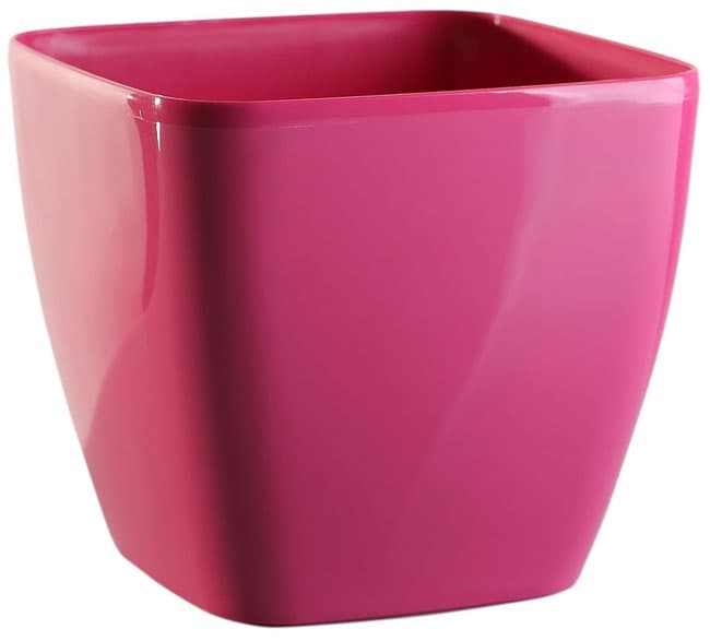 Saksija Queens 16x16 roze