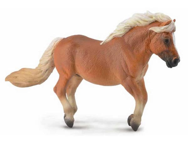 Collecta Domaće Životinje Shetland Pony, Pastuv CT88605