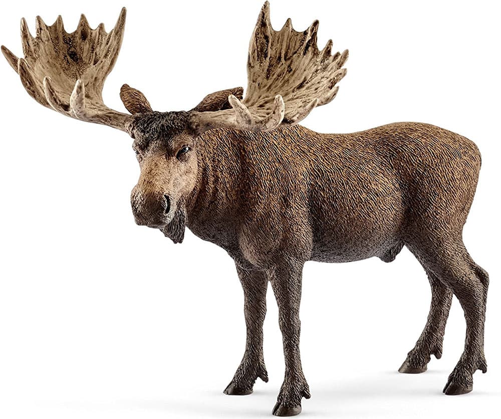 Schleich Figure Divlje životinje - Los - mužjak 14781
