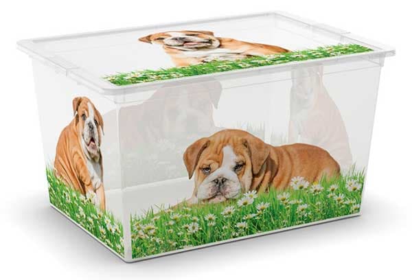Kis Kutija za odlaganje stvari C Box Puppy XL 50L