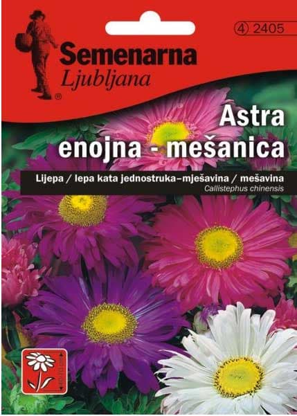 Seme za cveće Lepa Kata jednostruka - mešavina - Callistephus chinensis 2405