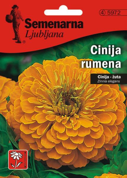 Baštensko cveće Lepi čovek - Cinija - žuti - Zinnia elegans 5972