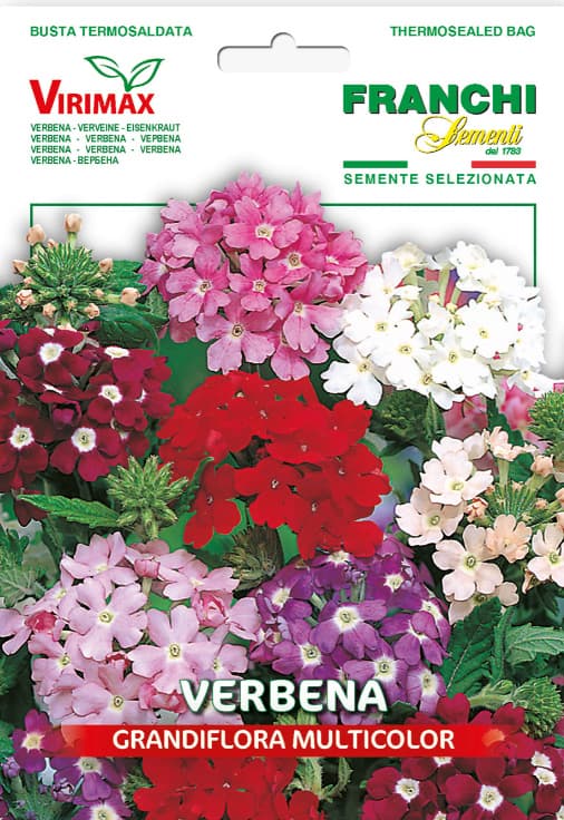 Seme za cveće 10 kesica Verbena Franchi Sementi Virimax