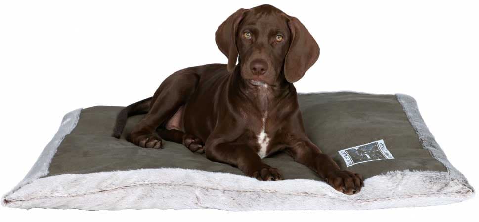 Prostirka za psa Best Of All Breeds 80cm Trixie 38372