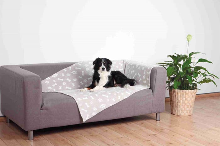 Ćebe za pse Kenny 100x150cm Trixie 37167